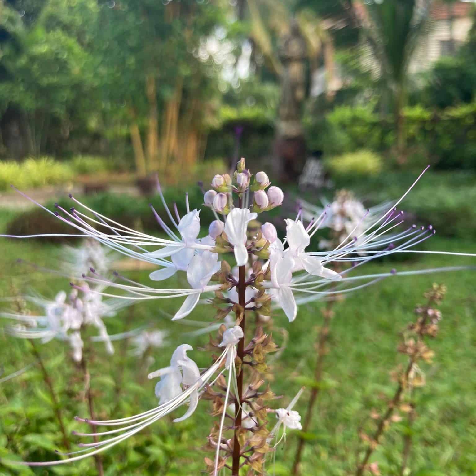 年間第三水曜日（1/28）